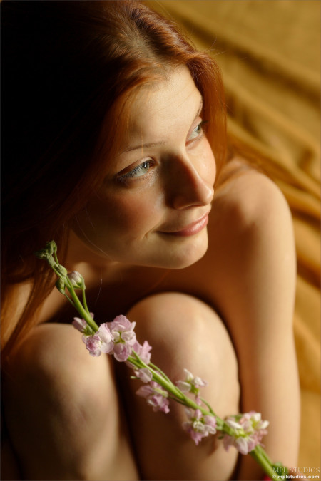 Фото голой девушки: Бодискейп - Лепестки весной