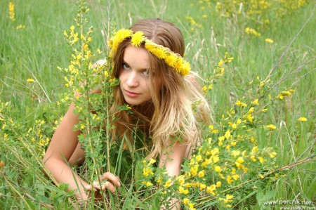 A Conny in the dandelions