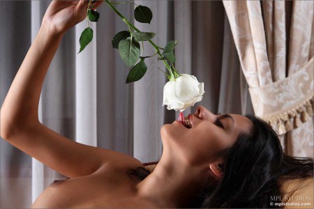 With a white rose