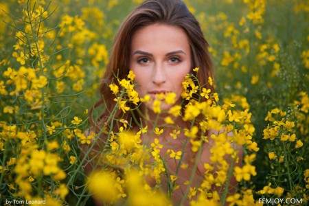 Фото голой девушки: среди полевых цветов
