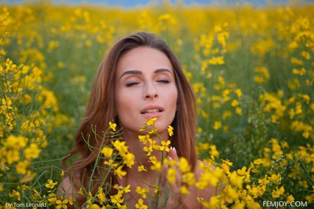 Фото голой девушки: среди полевых цветов
