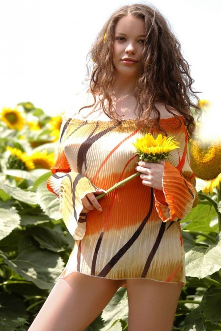 Polya A Natural Tits  in sunflowers