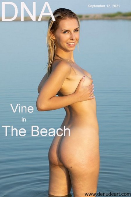 Vine B The Beach