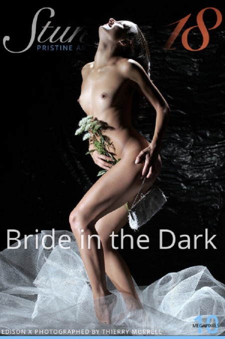 bride in the dark