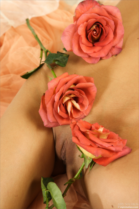 Фото голой девушки: Пять роз